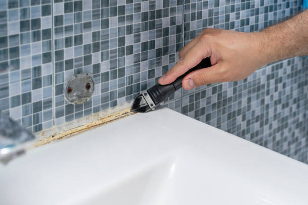 Best Office Mold Removal Services  in Lake St Louis, MO